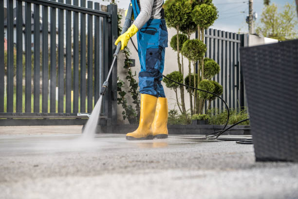 Best Graffiti Removal  in Baldwin, MI