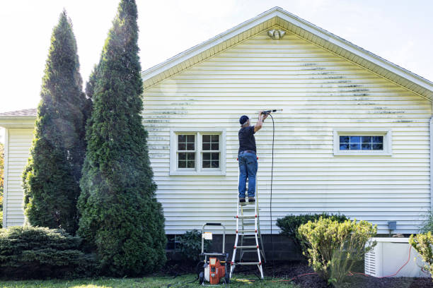 Best Paint Preparation  in Baldwin, MI